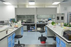 山東食品分子生物檢驗科實驗室裝飾要求